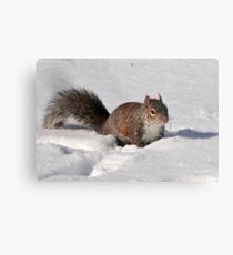 Playing In The Snow Metal Print