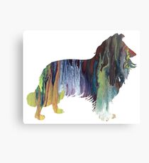 Border Collie Metal Print