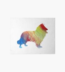 Border Collie Art Board
