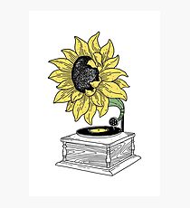 Singing in the sun Photographic Print