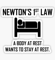 Newton's First Law- Funny Physics Joke Sticker