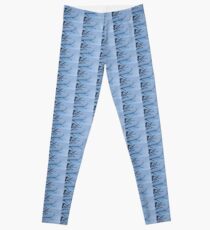 Moon Leggings