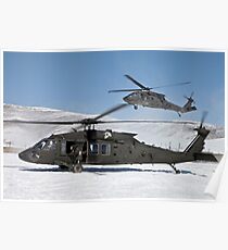 Two U.S. Army UH-60 Black Hawk helicopters. Poster