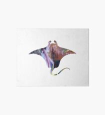 Manta ray Art Board