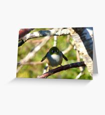 Do I look Like Happy Feet The Penguin? - Silver-Eye - NZ Greeting Card