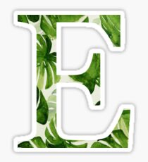Epsilon Sticker