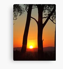 Stockinbingal Sunset Canvas Print