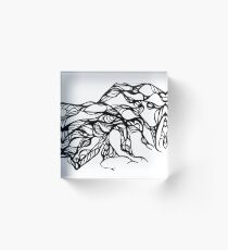 Wrapped in black Acrylic Block
