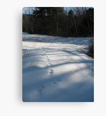 On the trail Canvas Print