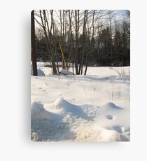 Prints Eye View Canvas Print