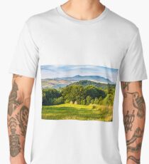 stacks of hay on the hill side Men's Premium T-Shirt