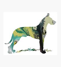 Great Dane Photographic Print