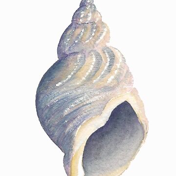 Artwork thumbnail, Sea shell I by LisaLeQuelenec