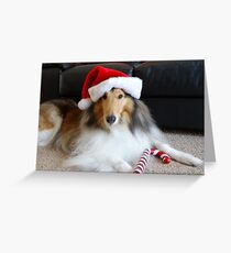 Christmas Collie Greeting Card