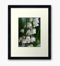 Lily of the valley Framed Print