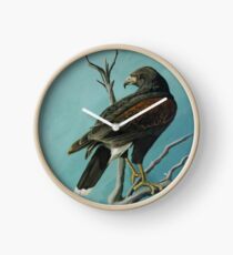 Harris Hawk Clock