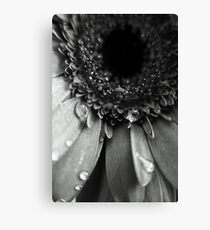 2010_37 Canvas Print