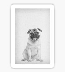 Mops 02 Sticker