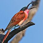 «¡Cena!» de Anthony Goldman