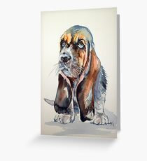 Basset hound Greeting Card