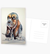 Basset hound Postcards