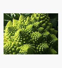 Broccoli Photographic Print