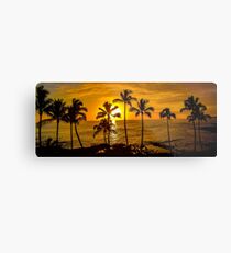 Lámina metálica Puesta de sol y palmeras en Kauai - Hawaii