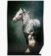 The Silver Gypsy Poster