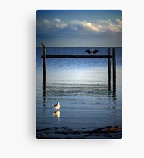 Three Birds Canvas Print