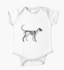 DOG ANATOMY X-RAY Baby Body Kurzarm