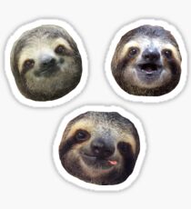 Sloth Heads Sticker