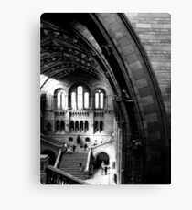 Natural History Canvas Print
