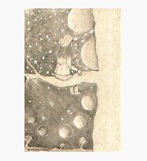 Gazer Photographic Print