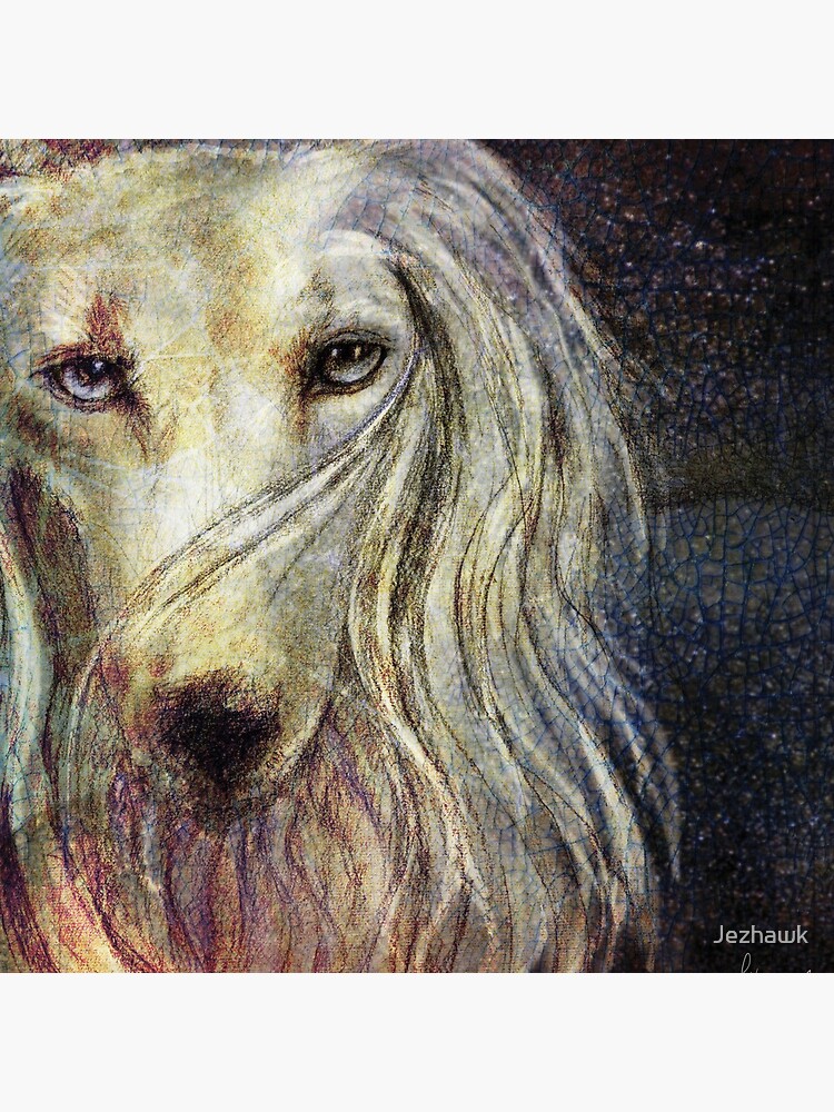 The Look by Jezhawk