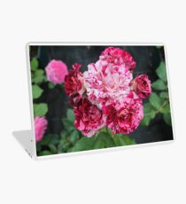roses Laptop Skin