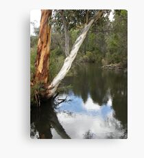 Mirror Image Canvas Print