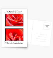 Rose Postcards