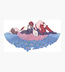 Blumenbeet - Shannon (Umineko) Fotodruck