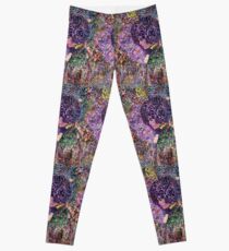 Purple Tribute Leggings
