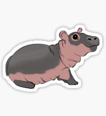 Fiona the Baby Hippo Sticker