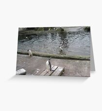 I could fly if I wanted to Greeting Card