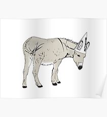 Dumb Donkey Poster