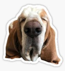 Basset Hound Sticker