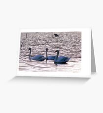 Chatting Greeting Card