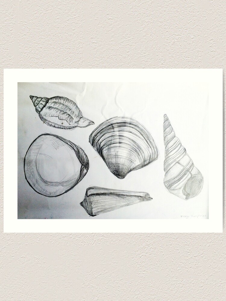 Alternate view of Sea Shells 4 by Margo Humphries Art Print