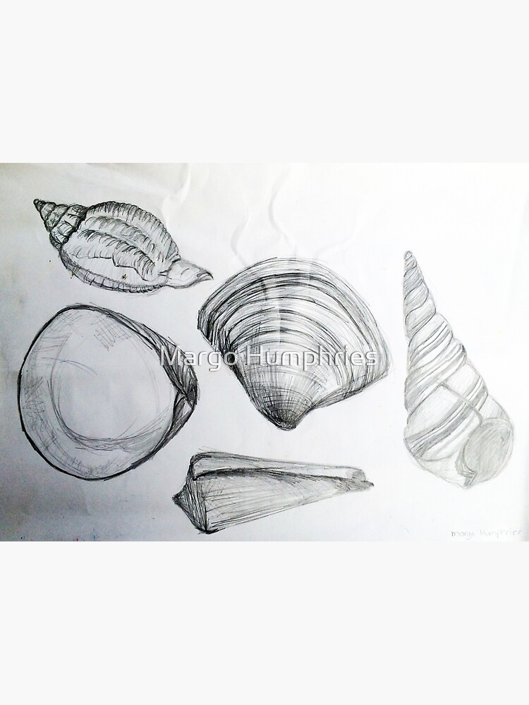 Sea Shells 4 by Margo Humphries by kasarnDesigns