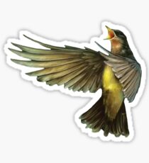 Imagine Dragons-Smoke and Mirrors Sticker