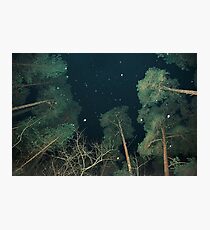 Broccoli Photographic Print