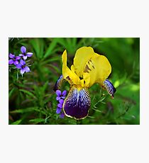 Complementary Colours Photographic Print