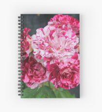 roses Spiral Notebook
